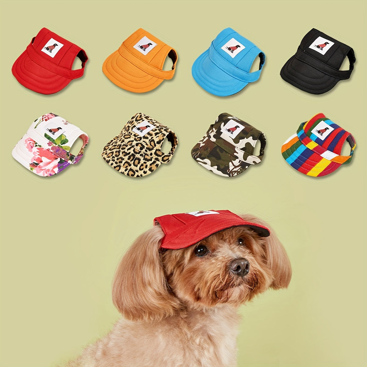 Pet Fashion & Accessories
