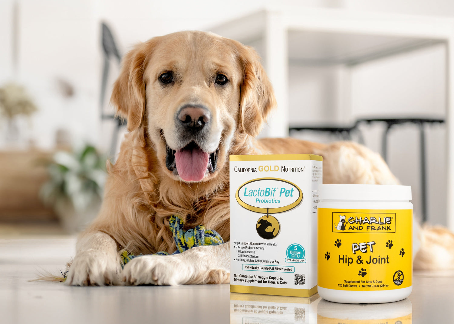 Pet Health & Wellness